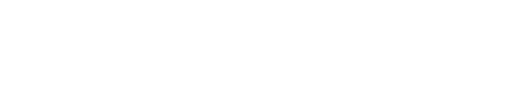 The Icebreaker