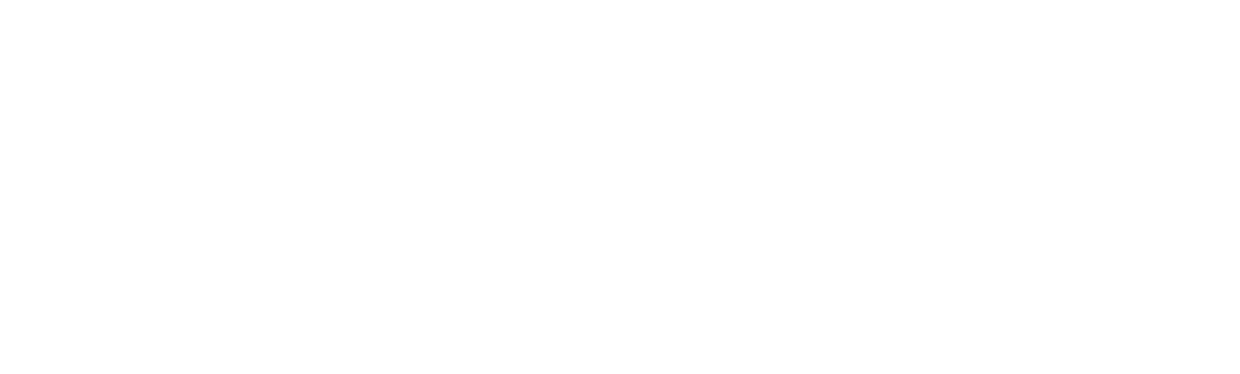 2025 attendees and partners
